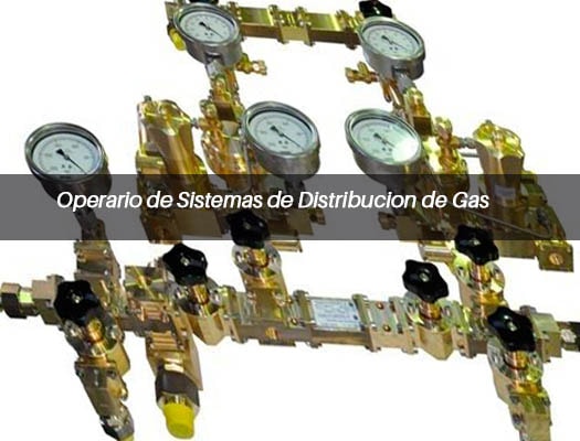 Curso de Operario de Sistemas de Distribución de Gas